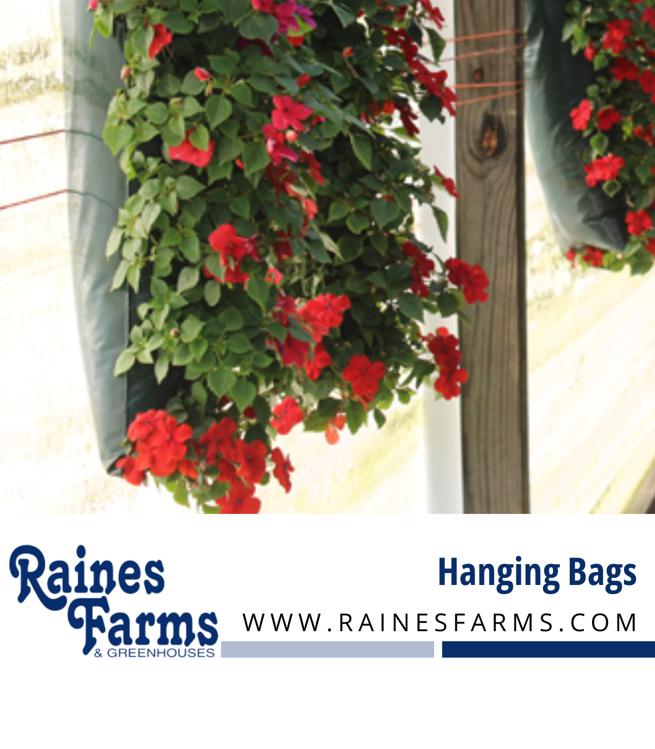 Hanging Bags