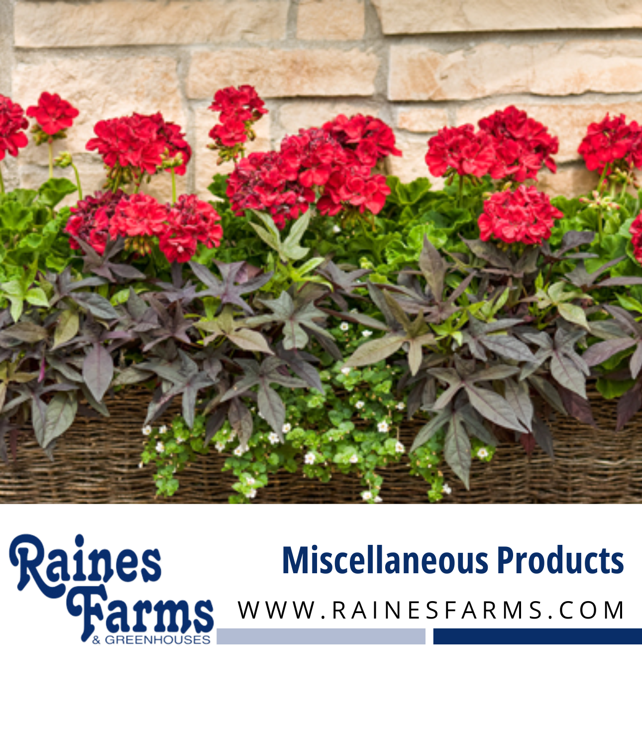 Miscellaneous Products