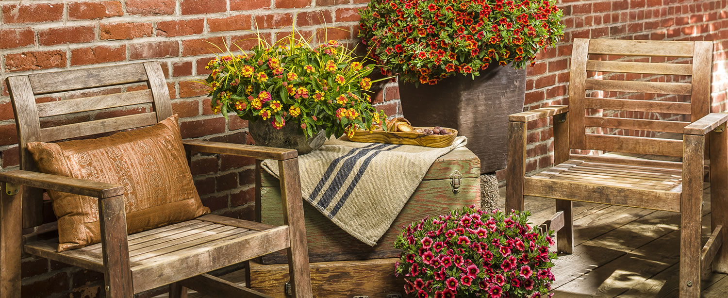 We offer a wide variety of plants